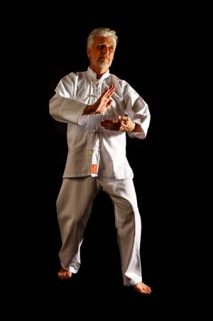 Image par MichaelRaab de Pixabay - Source = https://pixabay.com/fr/photos/tai-chi-taiji-qigong-arts-martiaux-4017386/