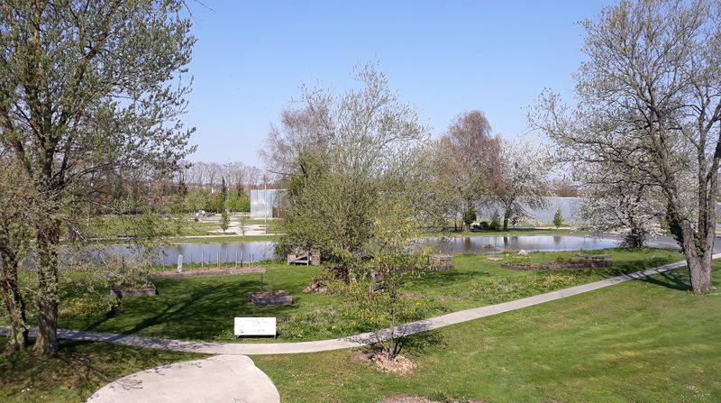 "File:Parc du Louvre-Lens (bassin).jpg" by Liondartois is licensed under CC BY-SA 4.0 - Source = https://upload.wikimedia.org/wikipedia/commons/3/38/Parc_du_Louvre-Lens_%28bassin%29.jpg