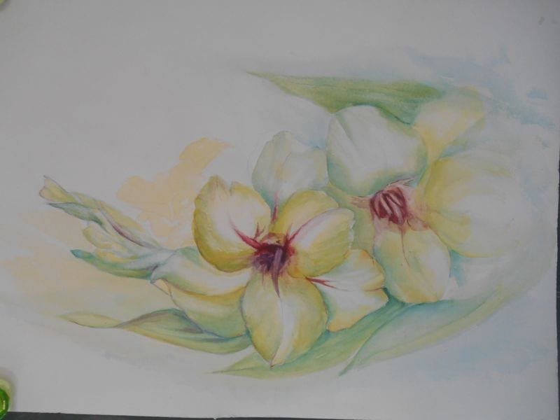 Activité aquarelle du mardi